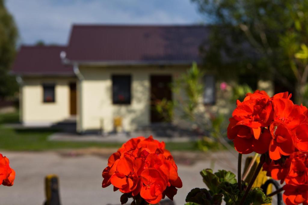 Balaton Eldorado Camping Hotel Badacsonytordemic Exterior photo